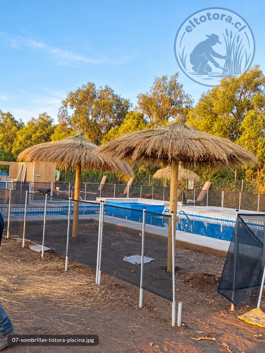 Quitasoles de totora en piscina